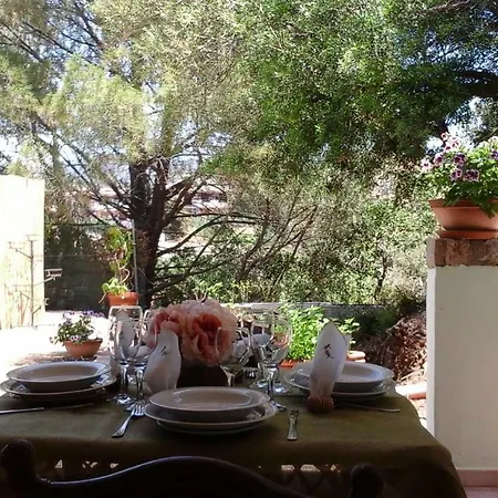 Villa Cistus Silvestre *