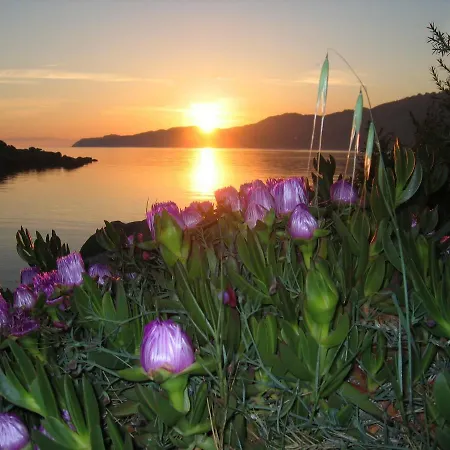 Villa Cistus Silvestre *
